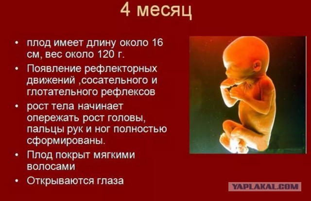 50 лет назад. Декабрь 1973 года