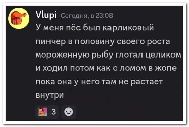 Так себе картинки 10.04.24