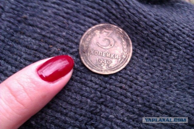 Находки в обычном парке