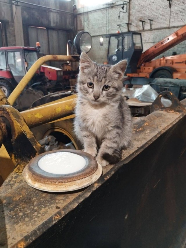 Пролетарский понедельник