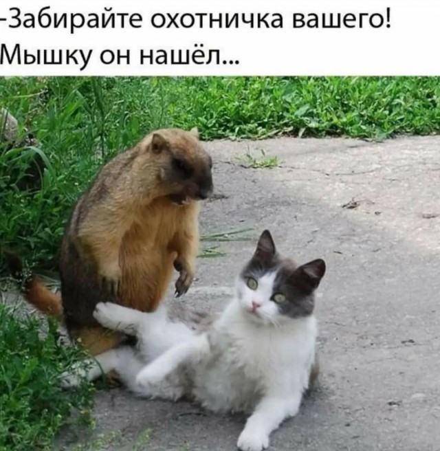 Немного пошлых картинок 16+ 21.08.24