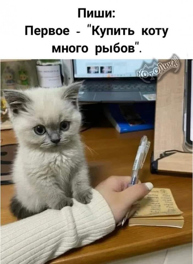 Завалялось тут случайно немного забавных картинок