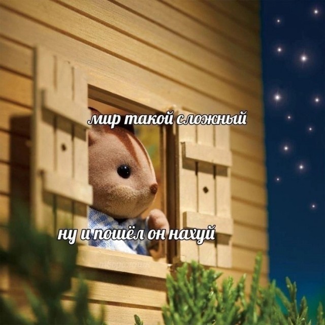 Нуштош 04.10.2024