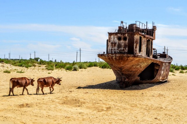 Как сегодня выглядят остатки Аральского моря