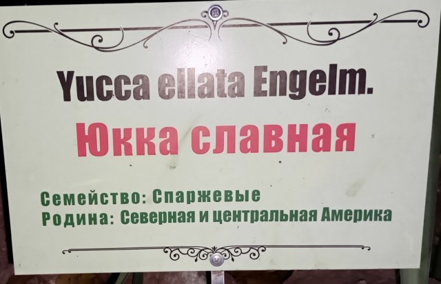 Так себе картинки 18.11.24
