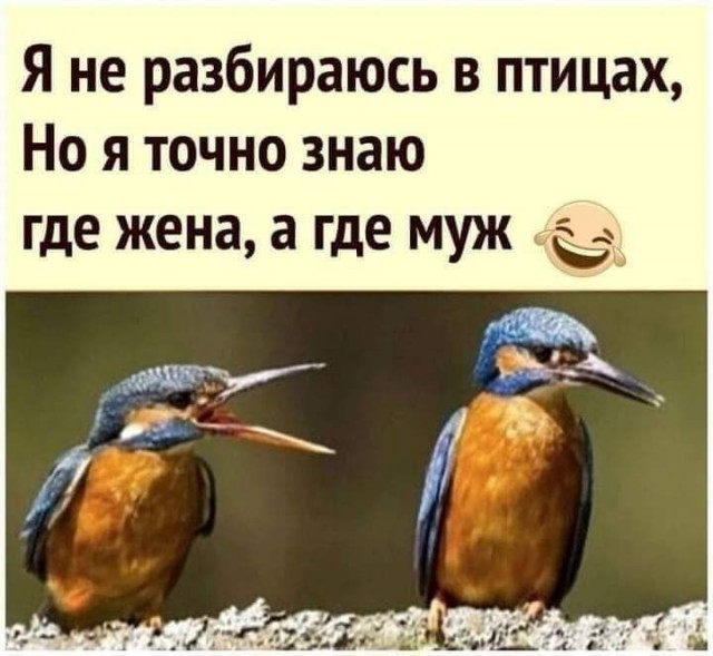 Так себе картинки 25.11.24