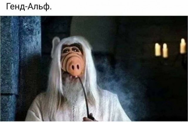Нуштош 25.12.2024
