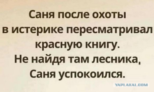 Картинки не для всех