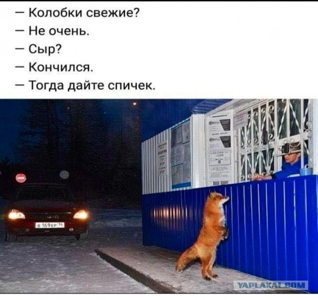 Нуштош 23.04.2025. По эту сторону зеркала (s3e11)
