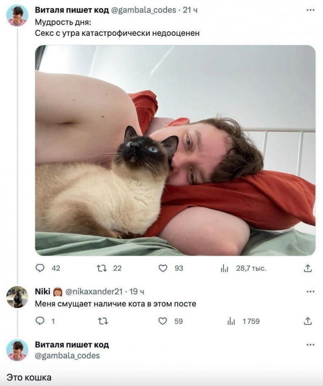 Иллюстрации