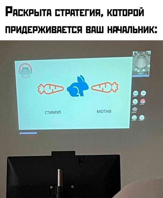 Веселые картинки в пятницу (16.02)