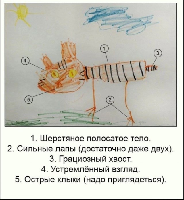 Видите красную банку колы?