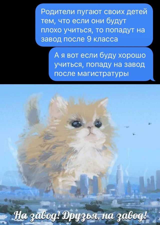 Так себе картинки 20.07.25