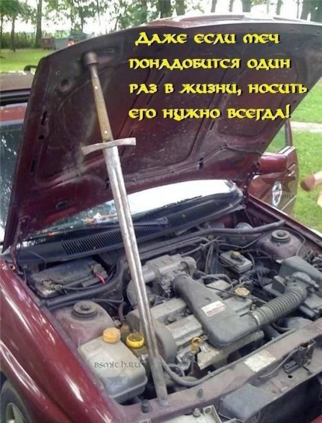 Весёлый полтишок 22.08.25