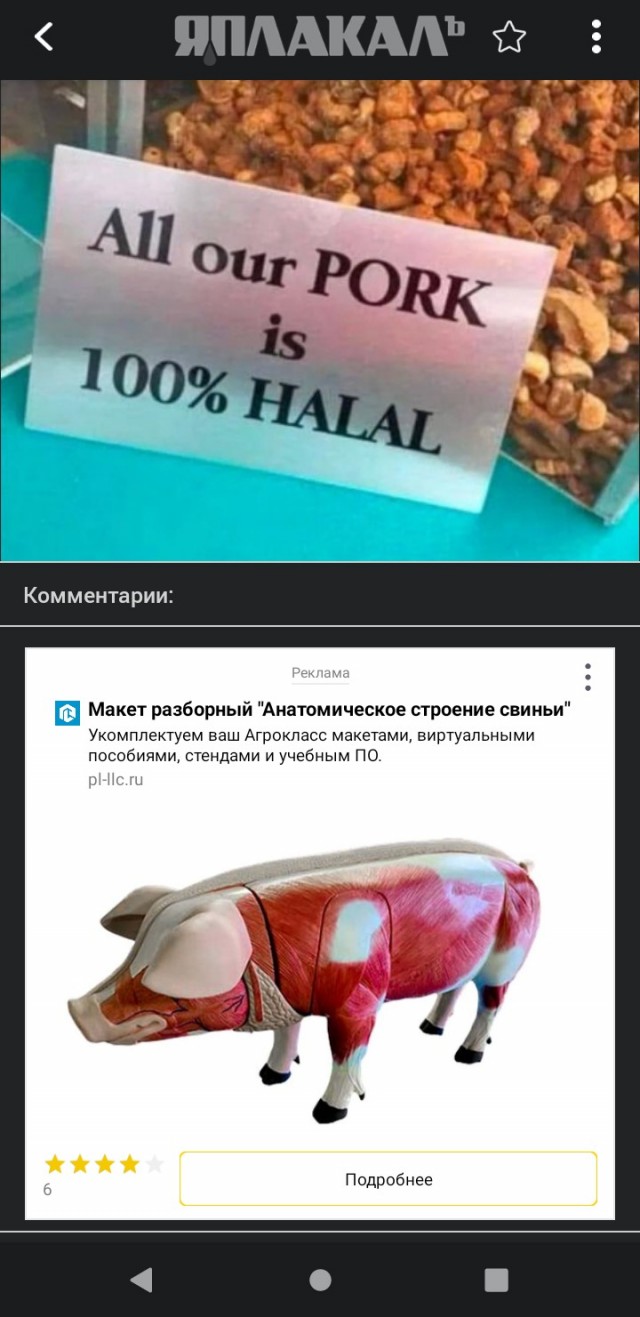 Вся наша свинина 100% халяль