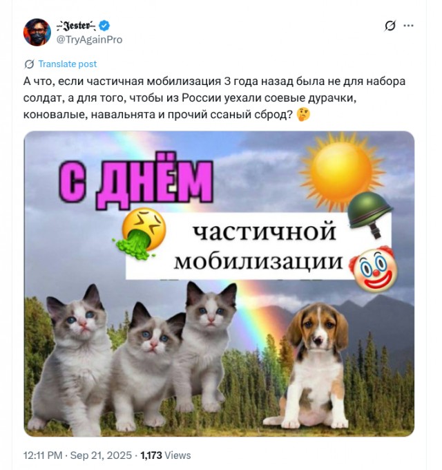 Москвичи продали две квартиры, чтобы открыть каннабис-ферму в Таиланде