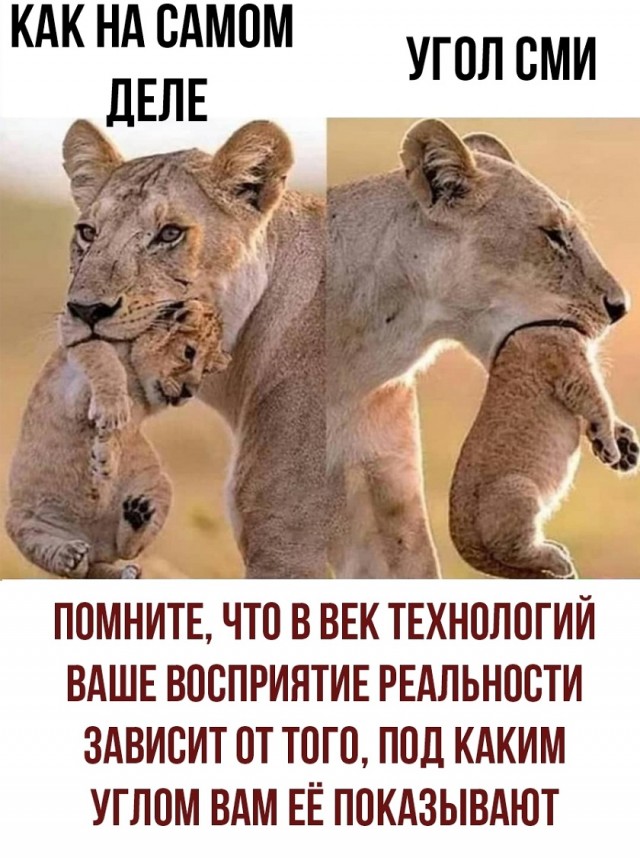 Так себе картинки 26.11.25