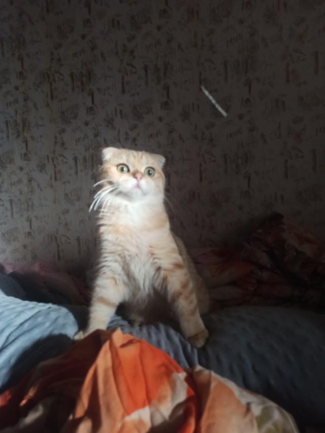Оглянись, незнакомый прохожий