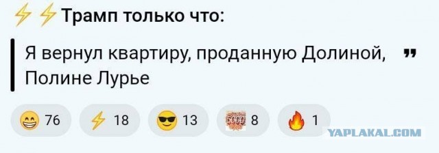 В Госдуме отреагировали на решение Верховного суда по делу Долиной