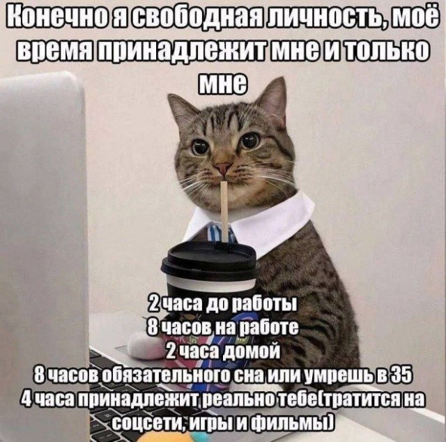 Картиночки, баянчики 20 февраля