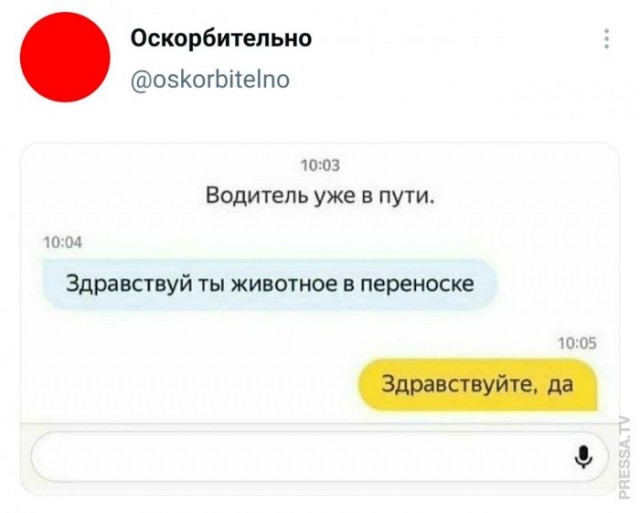 Веселые картинки в пятницу (27.02)