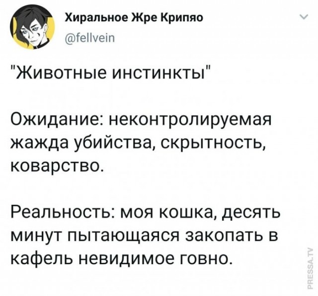 Веселые картинки в пятницу (10.04)