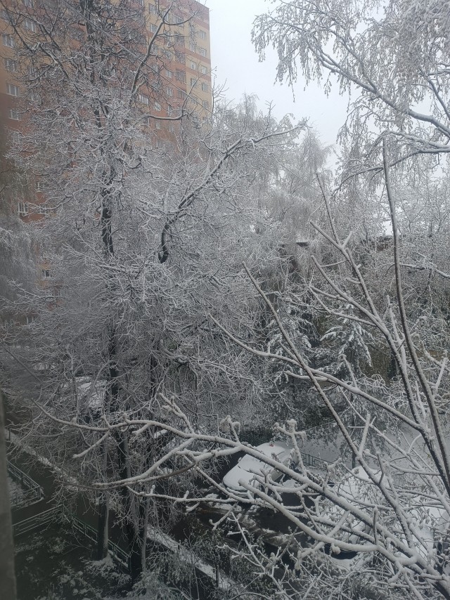 Весна должна так выглядеть!
