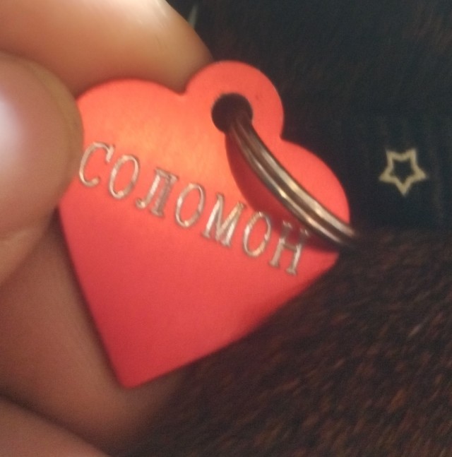 Соломоново решение!