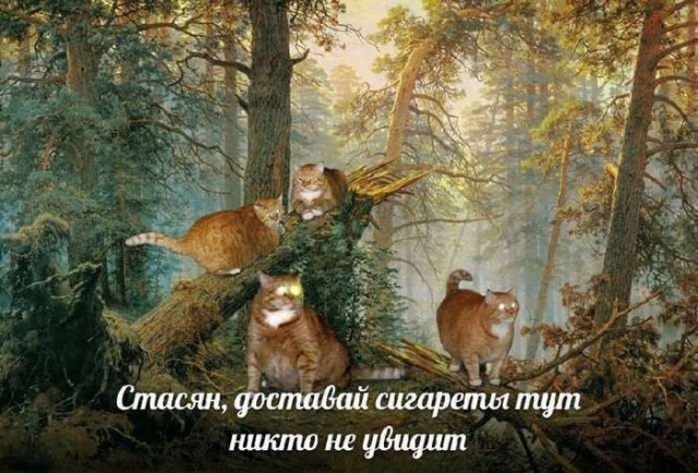 Картинки для деградации 270 (разной степени свежести)