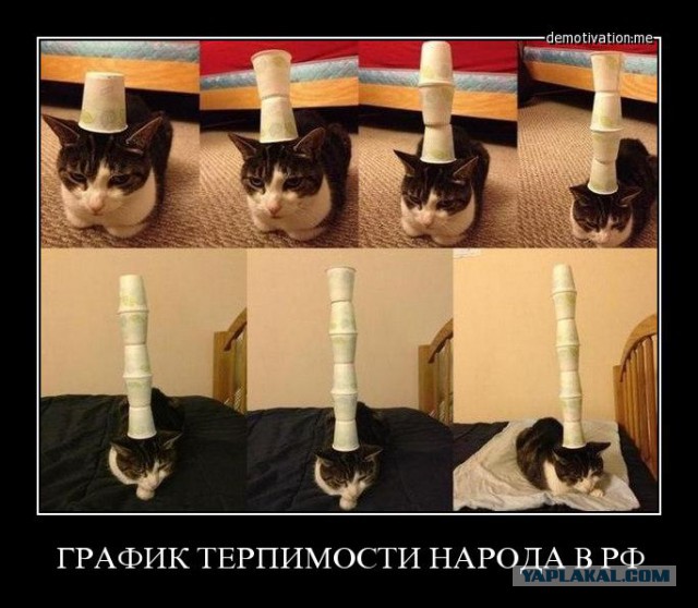 Владимир Путин: Акции в Киеве