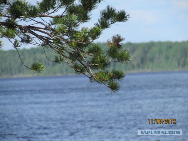 Как я отдыхаю