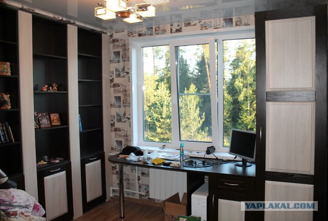 Как я провел этим летом...