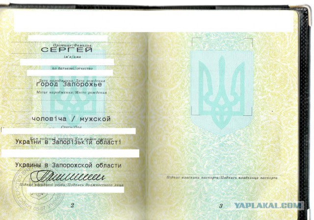 Войска ДНР вошли в Запорожскую область