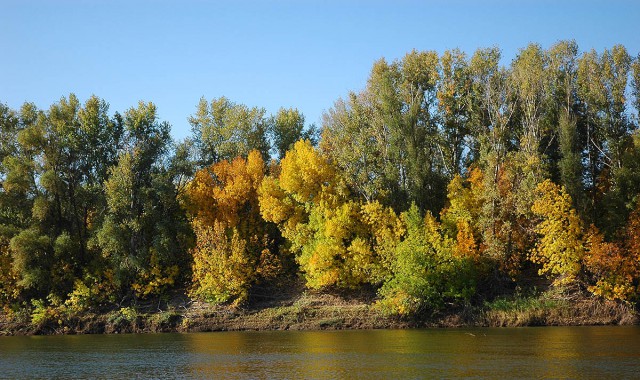 Деревенская Америка