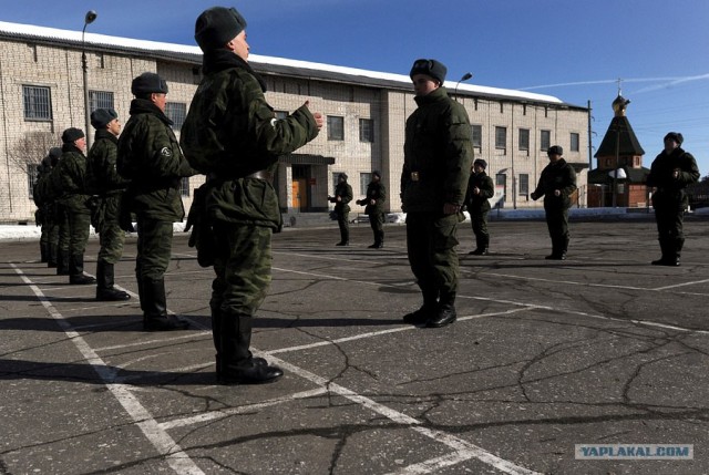 В стенах дисбата