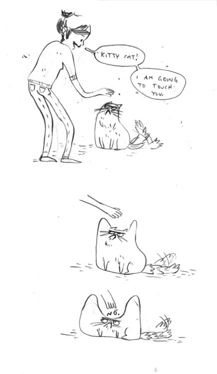 Погладь кота!