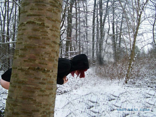 Отфотошопьте моё фото...