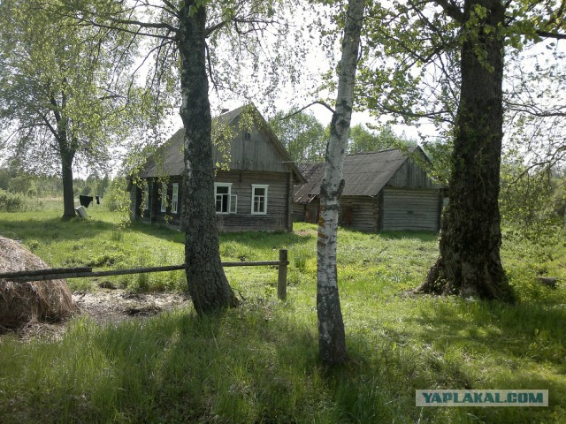 Продаю дом