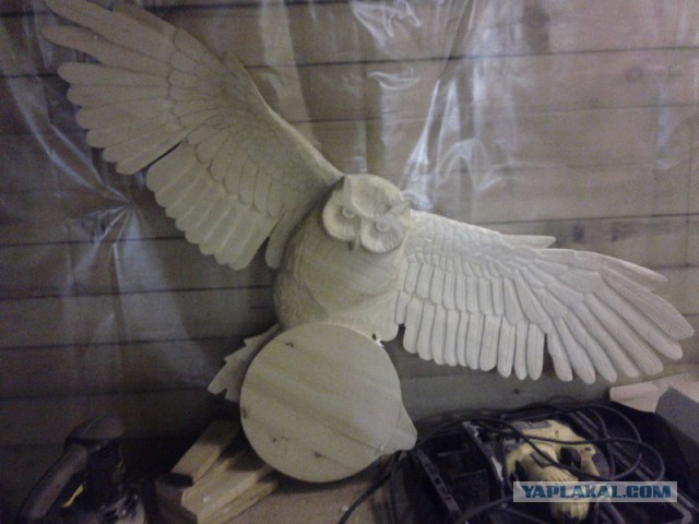 Как нарисовать сову