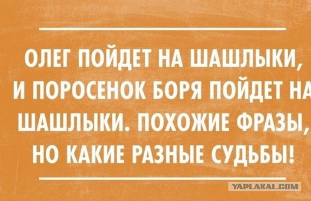 Смешные картинки и комментарии из сети