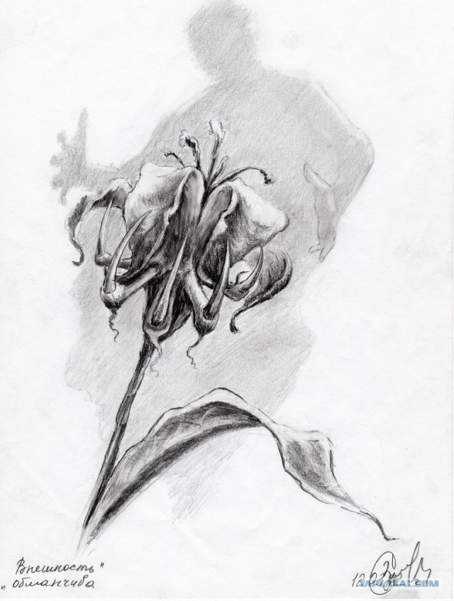 Философия в рисунках