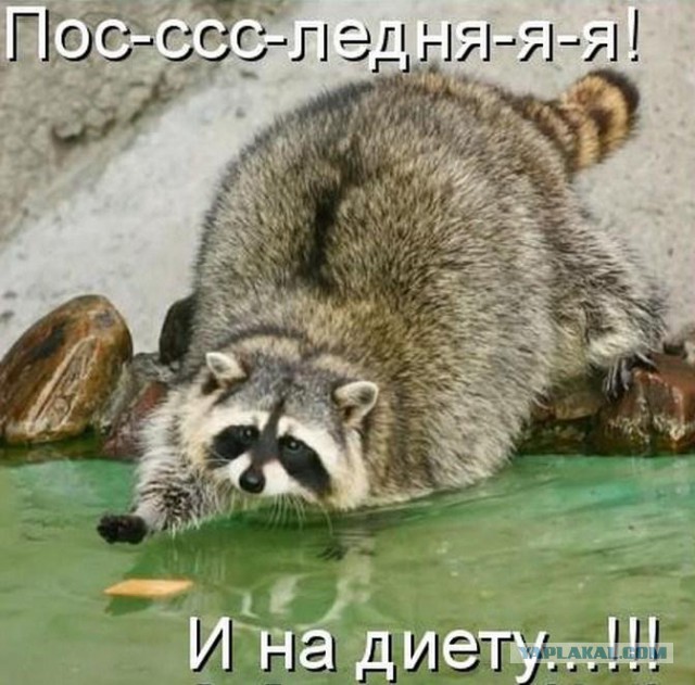 Подборка картинок из ВК