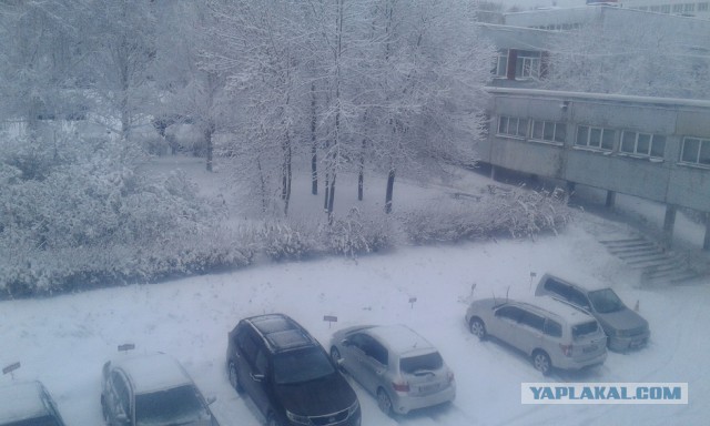 Лёха, вставай!