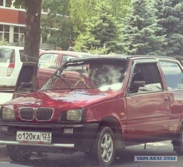 Веселые картинки