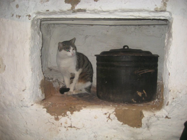 Россия