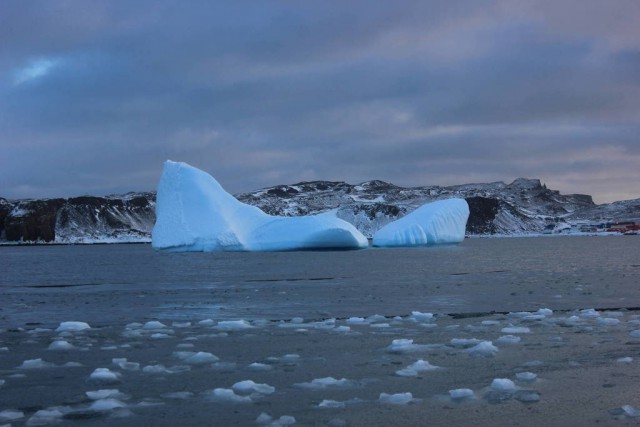 Полтора года зимы