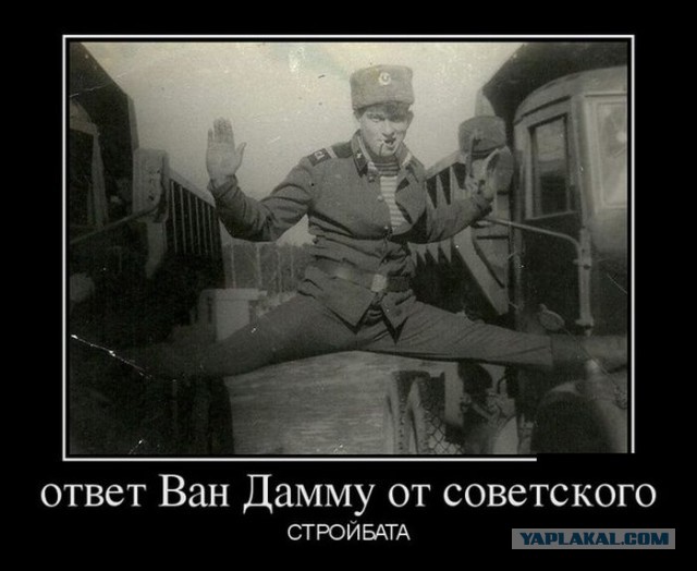 Coub'ы на выходные