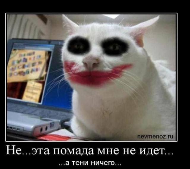 Небольшой микс картинок и гифок