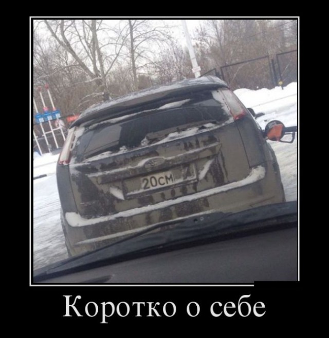 Всякие разные картинки из интернета