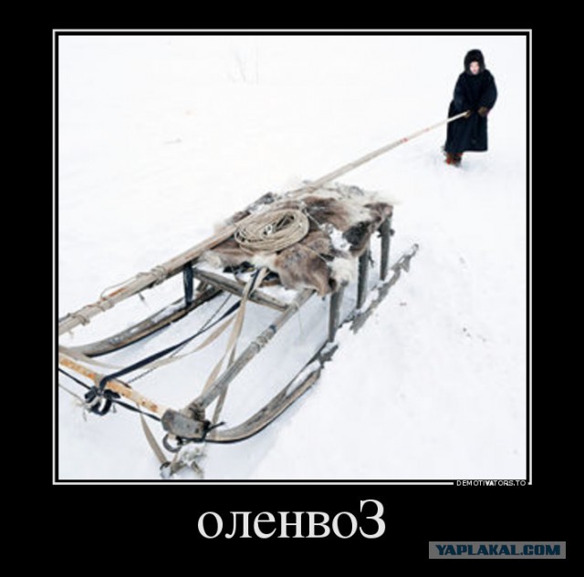 Приключения одного американского выпивохи